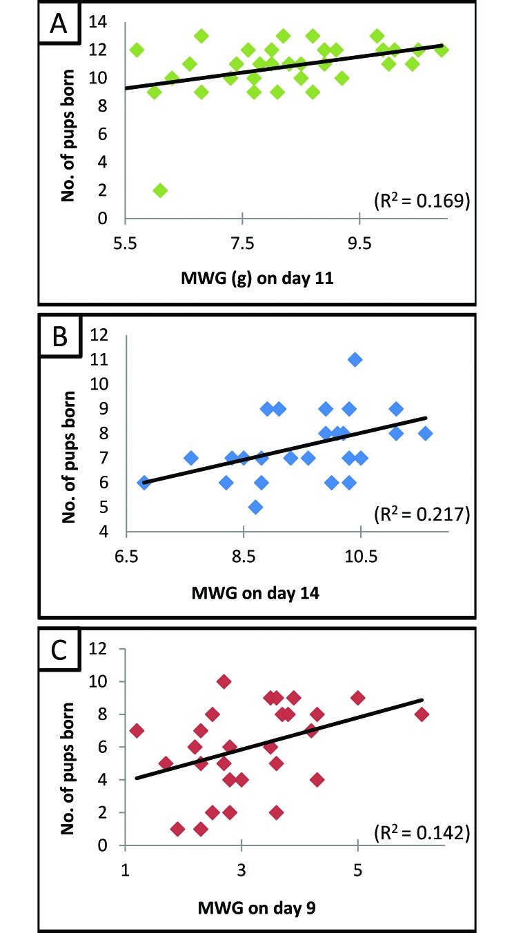 Figure 3.