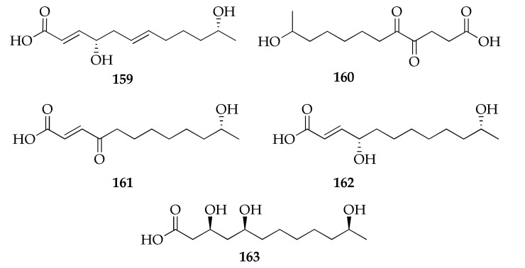 Figure 25