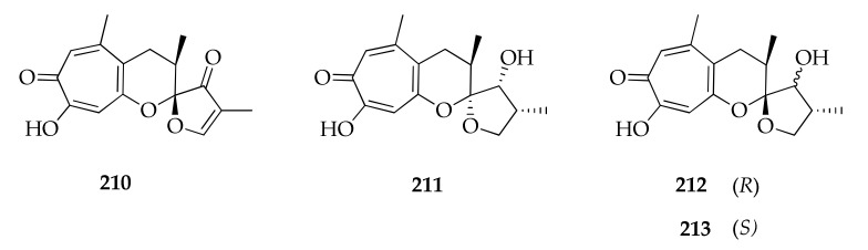 Figure 29