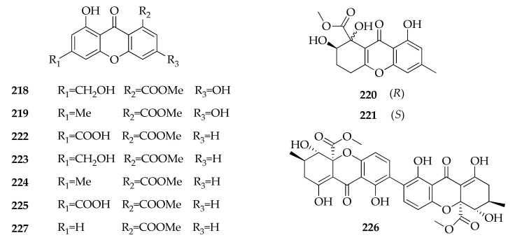 Figure 31