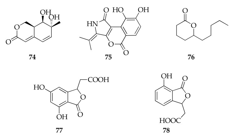 Figure 17