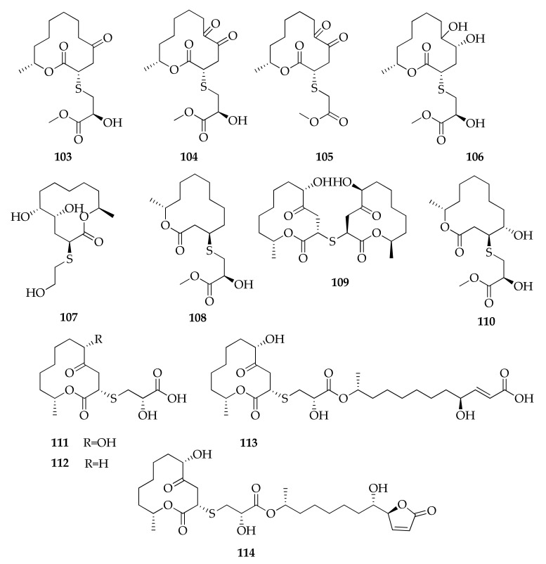 Figure 19