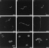 FIG. 9.