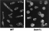 FIG. 10.
