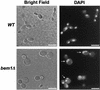 FIG. 8.