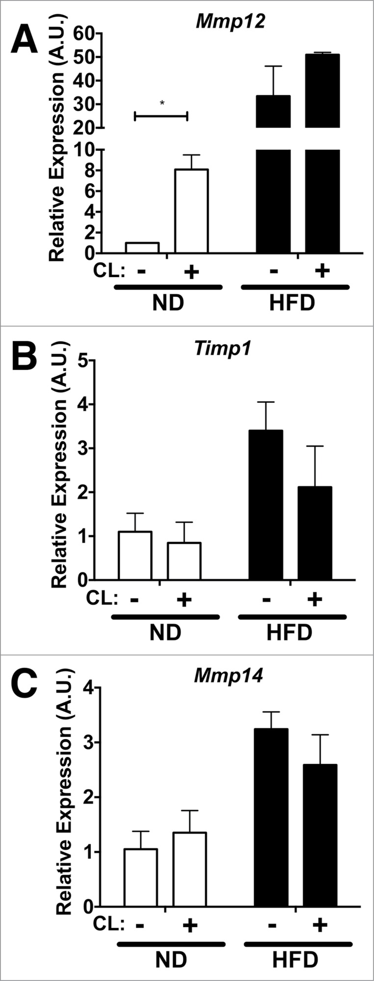 Figure 5.