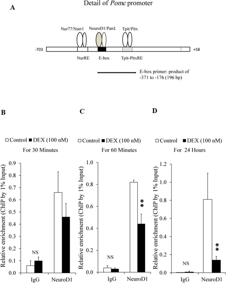 Fig 8