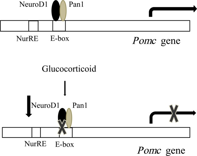 Fig 10