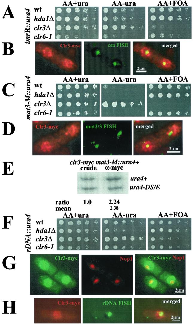 FIG.4.