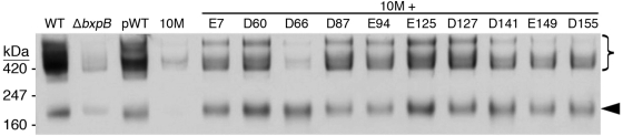 FIG 3 