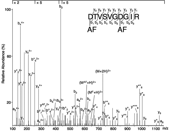 FIG 1 