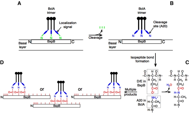 FIG 5 