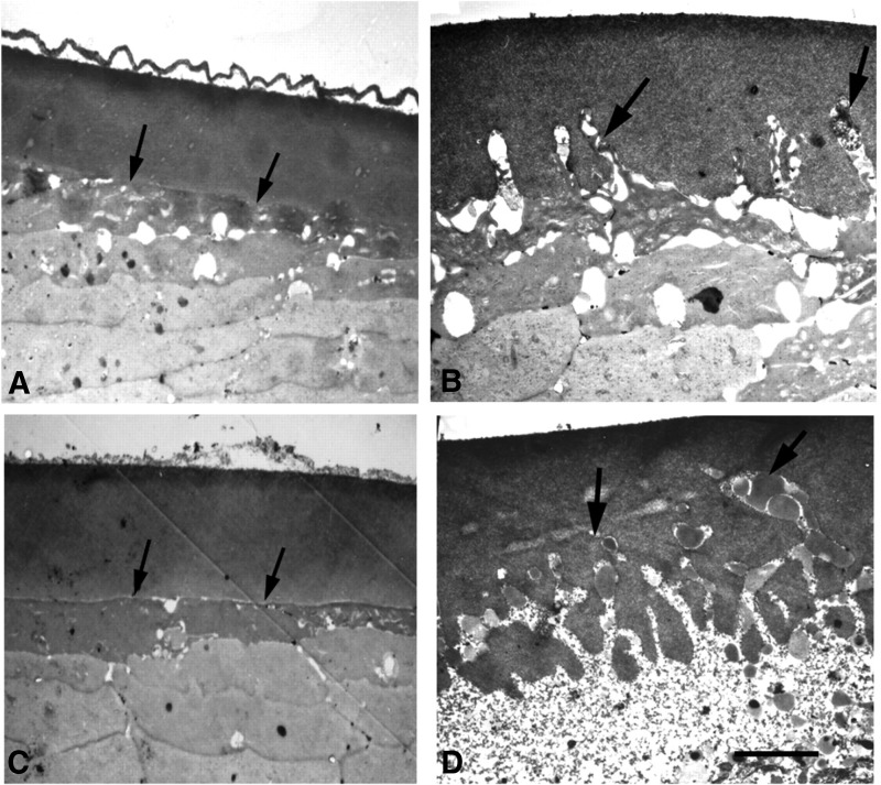 FIG. 4.