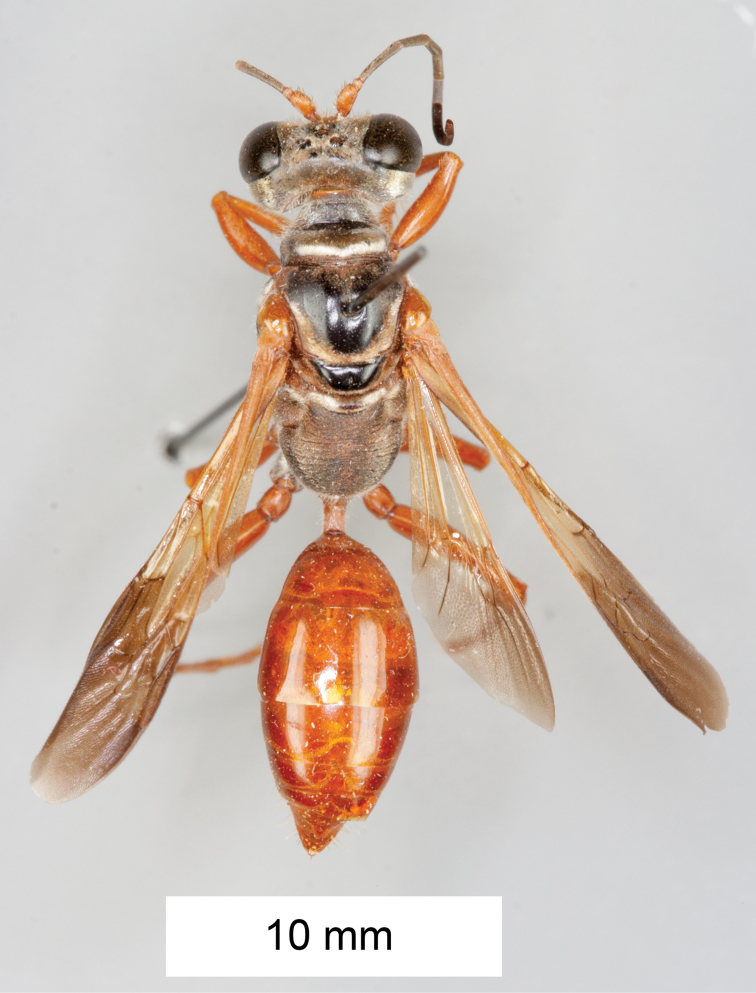 Figure 15.