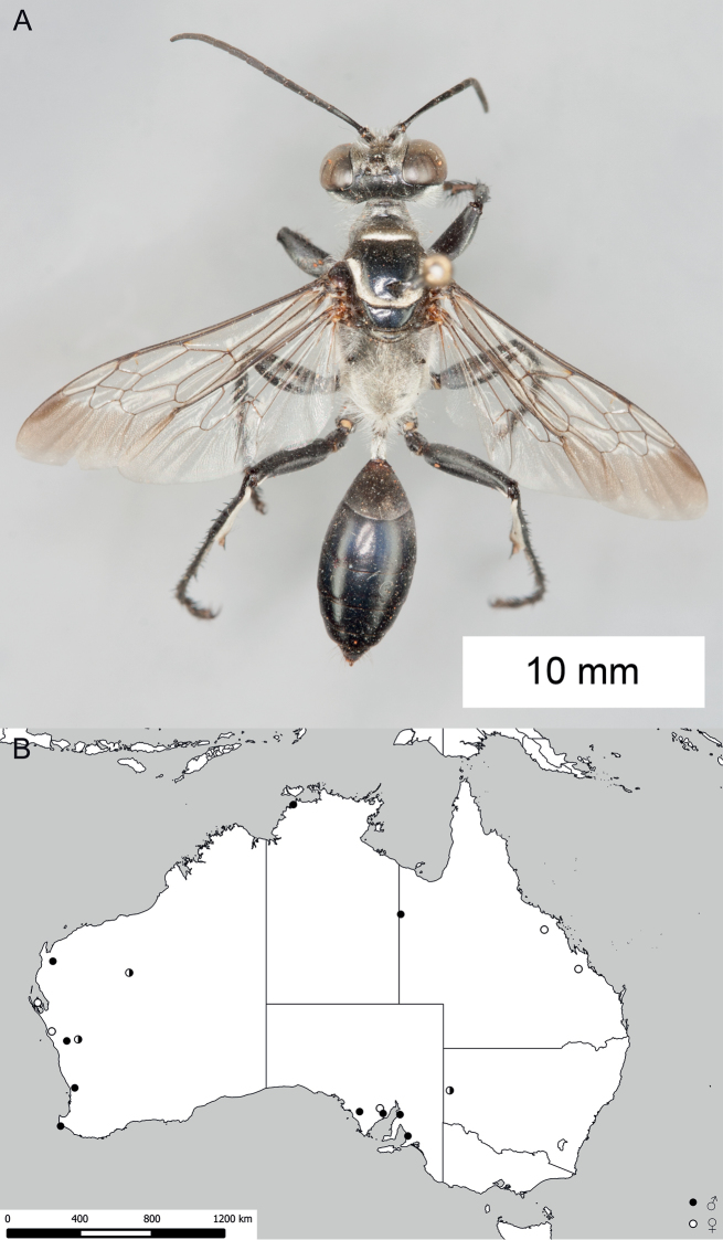 Figure 37.