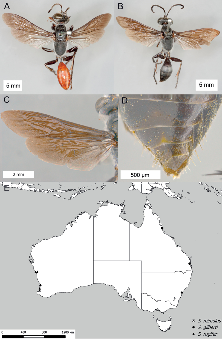 Figure 24.