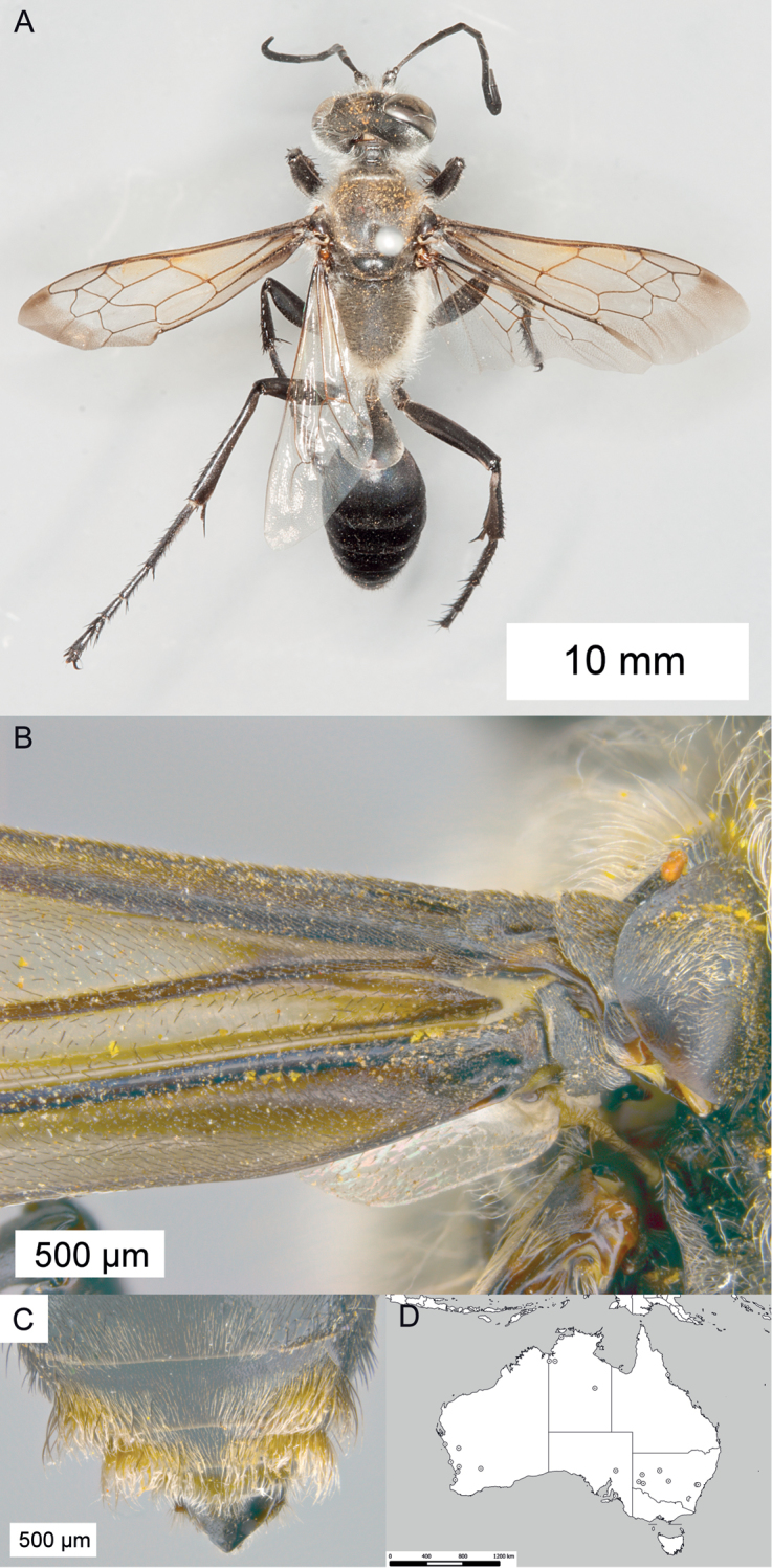 Figure 13.