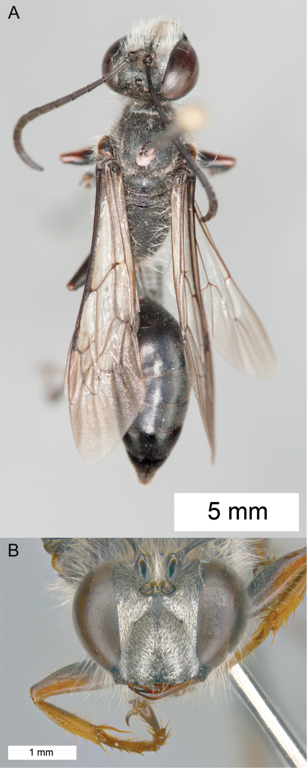 Figure 30.