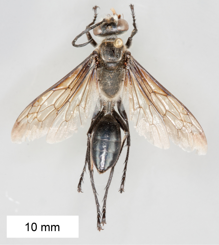 Figure 12.
