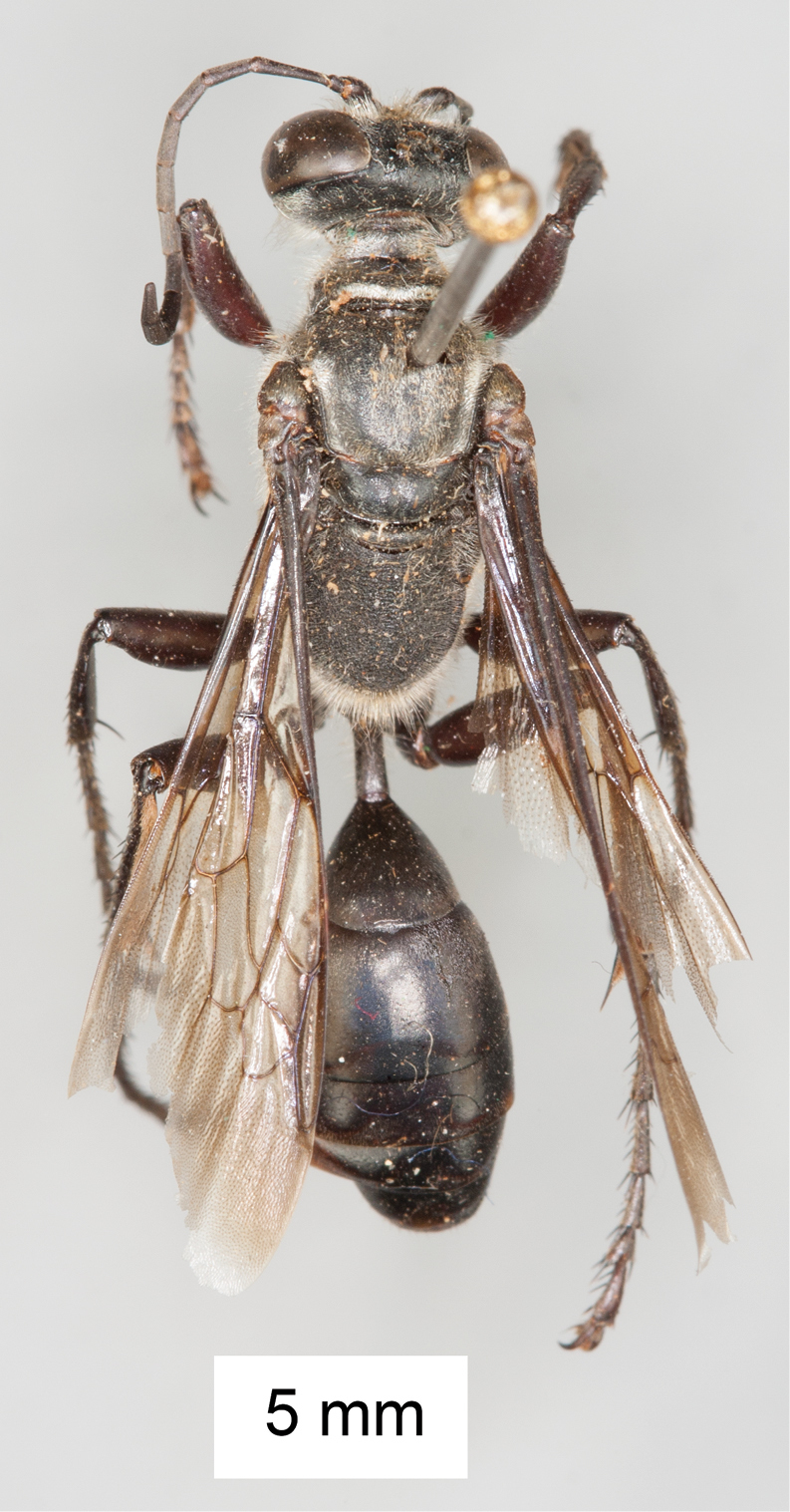 Figure 36.