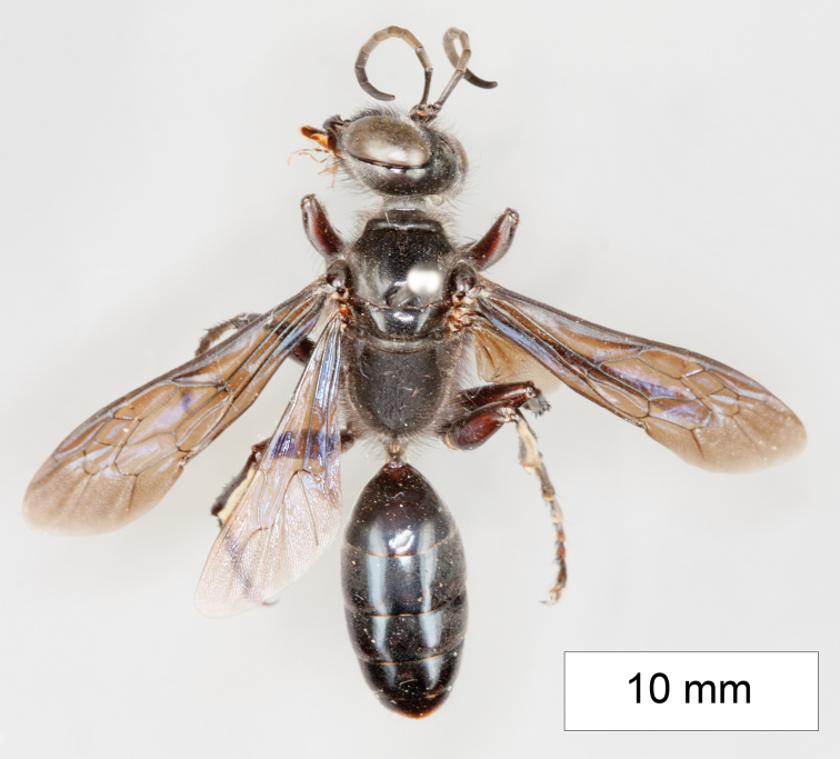 Figure 22.