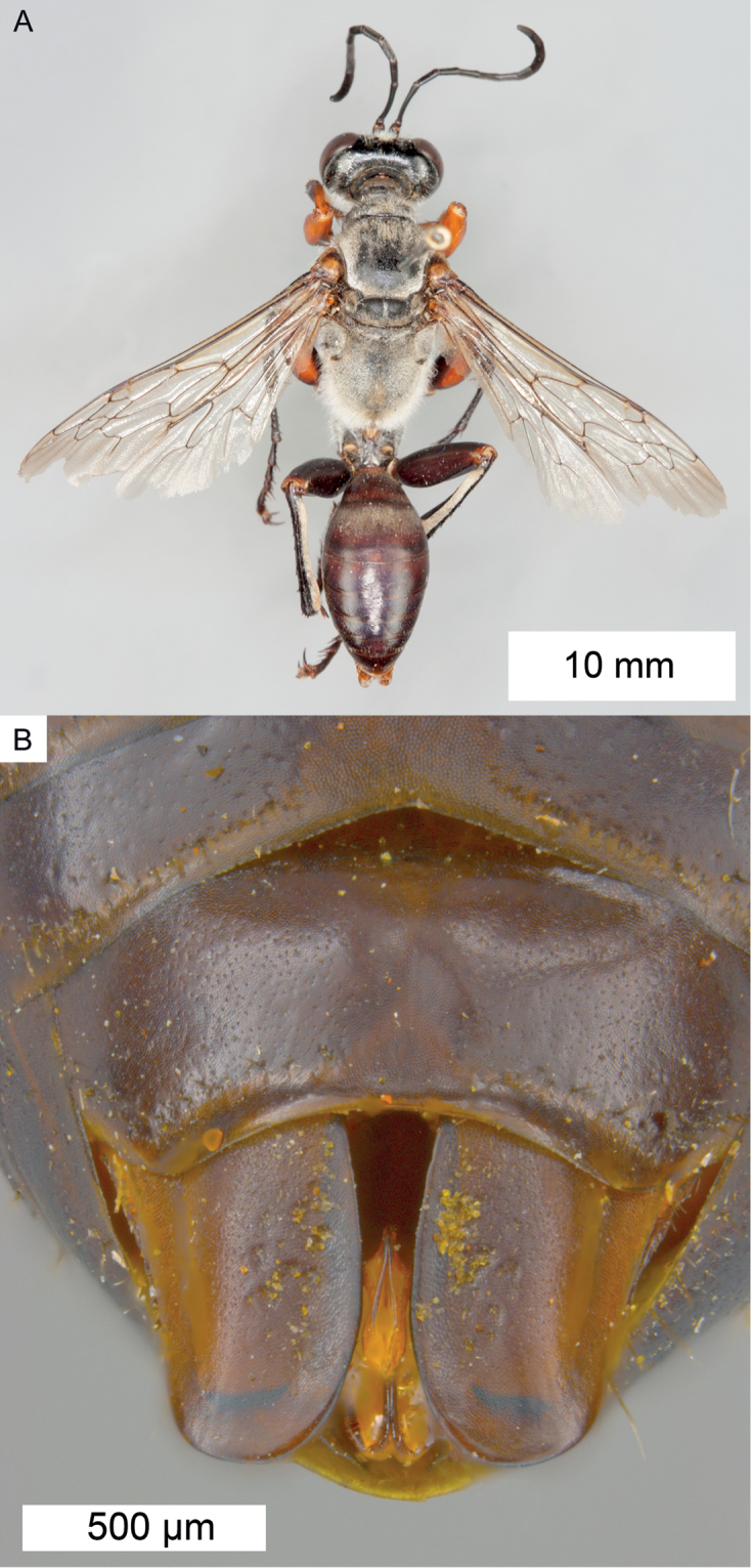 Figure 38.