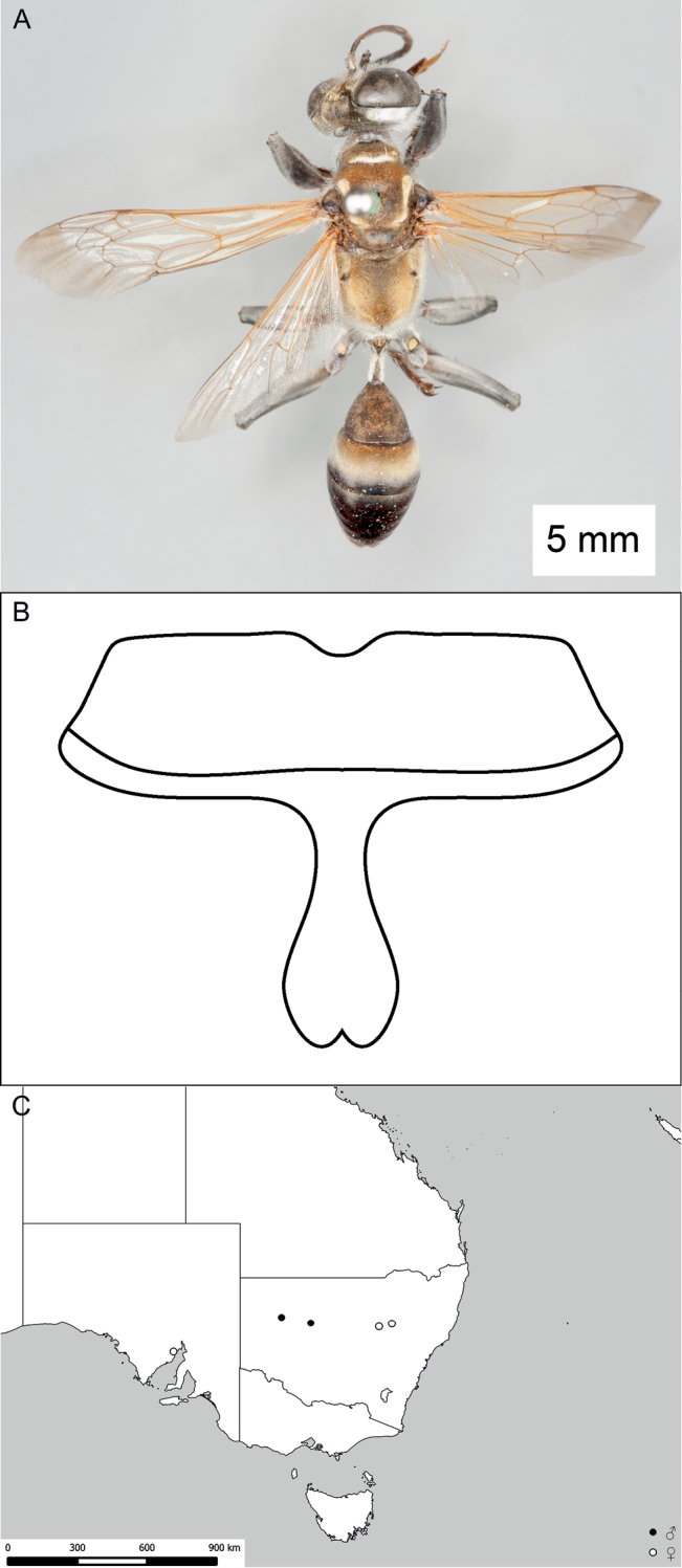 Figure 39.