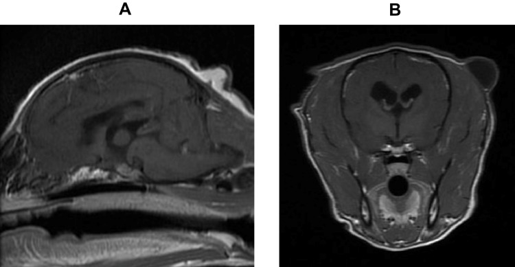 Figure 7