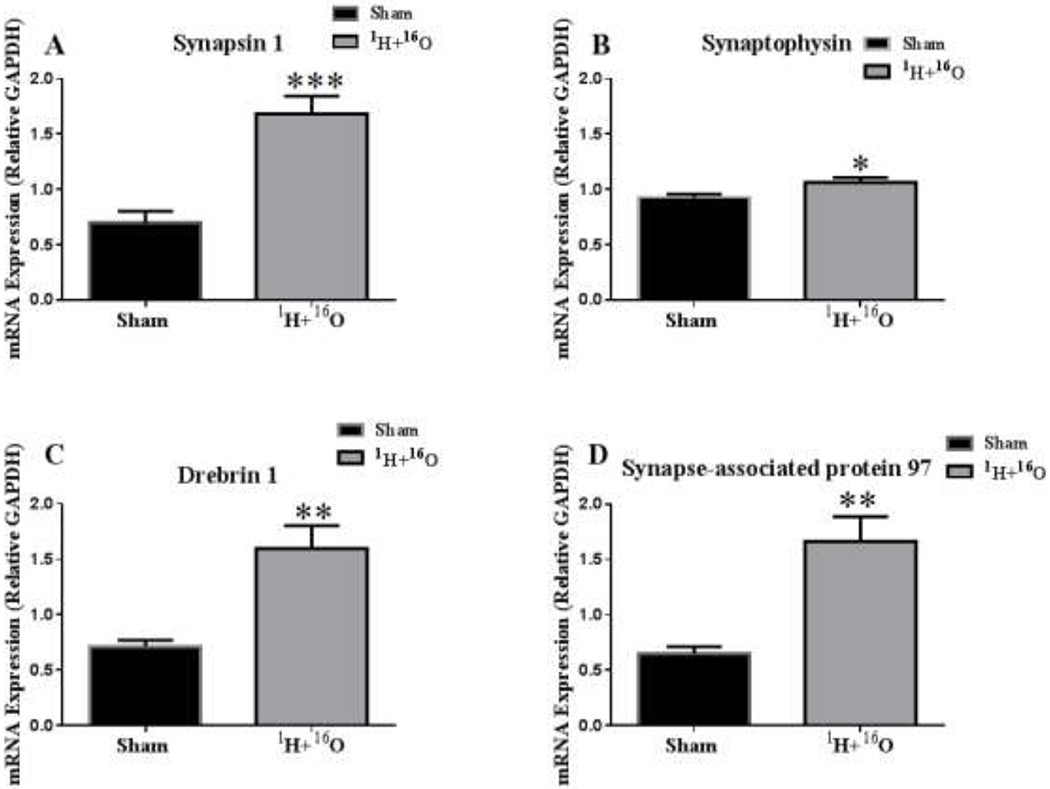 Figure 5: