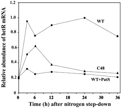 Fig. 7.