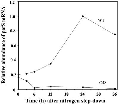 Fig. 5.