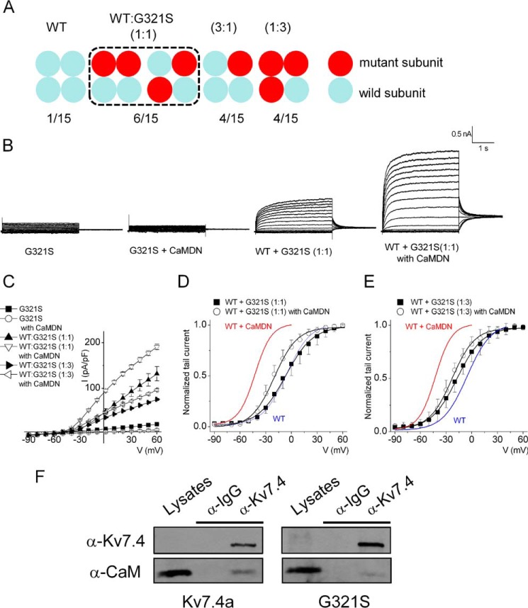 FIGURE 4.