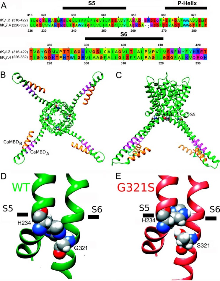 FIGURE 7.