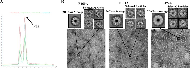 FIG 3