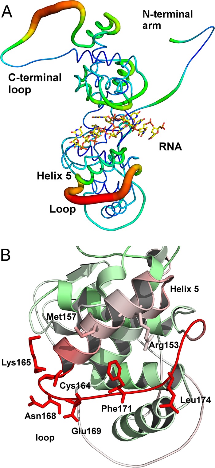 FIG 1