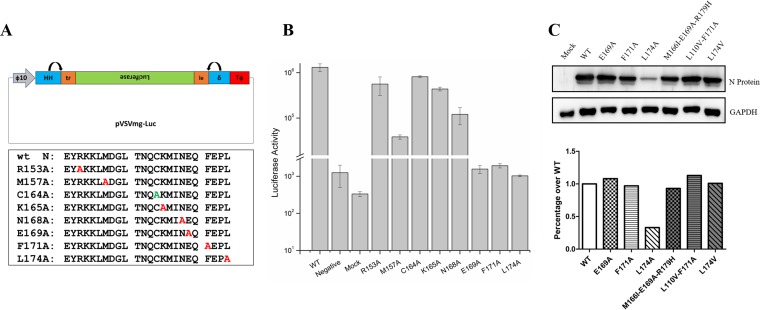 FIG 2