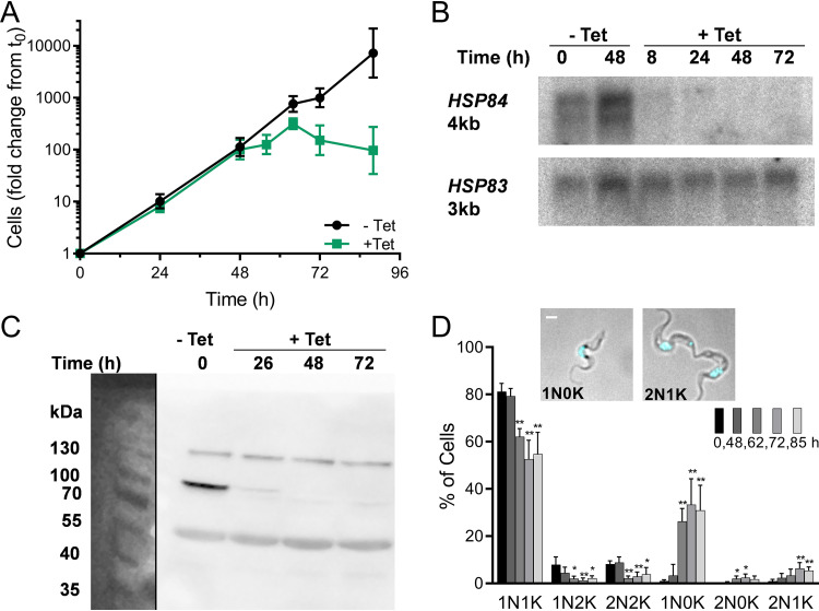 FIG 6