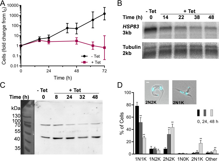 FIG 4