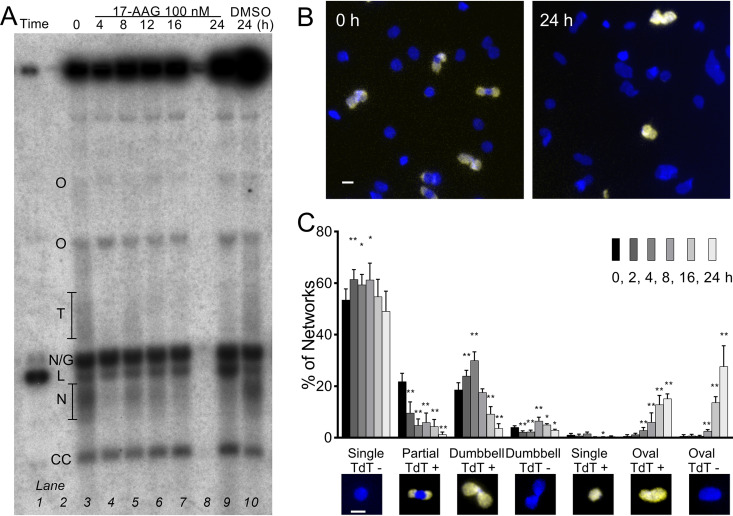 FIG 3