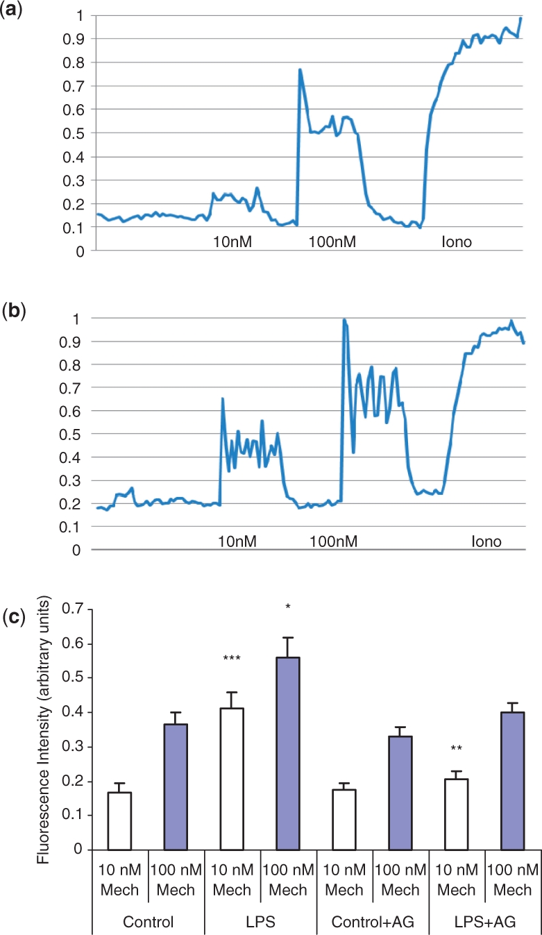 Fig. 6