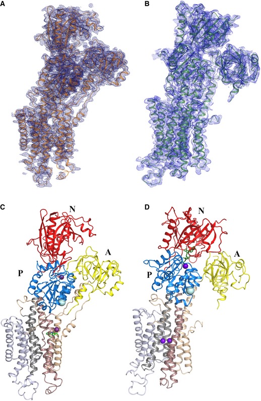 Figure 2