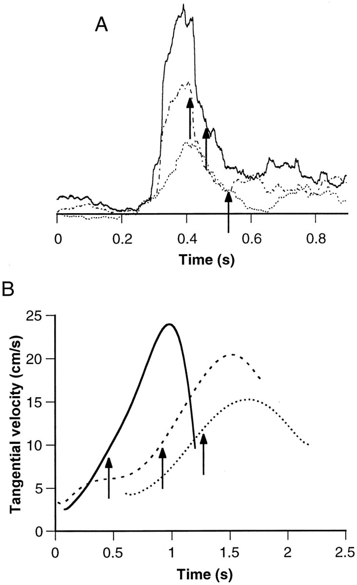 Fig. 9.