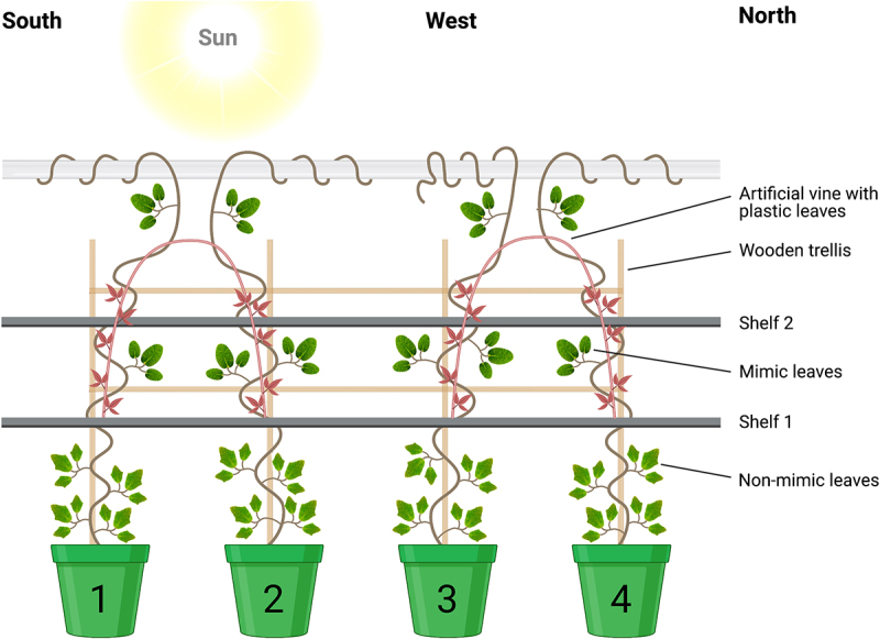 Figure 2.