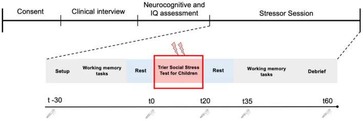 FIGURE 1