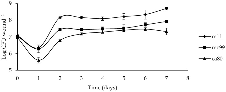 Figure 5