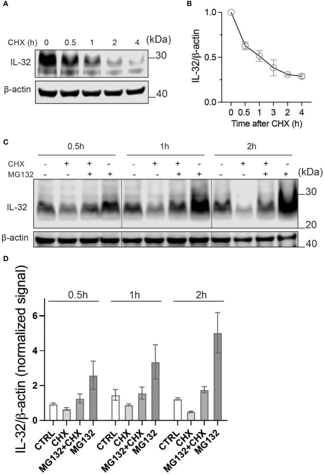 Figure 2