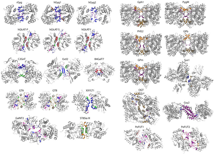 Fig. 1