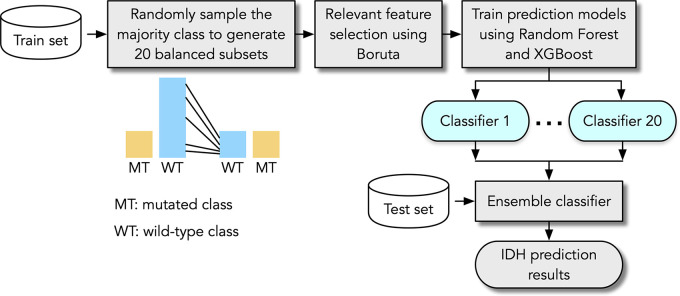 Flowchart of proposed MRI radiomics-based framework for predicting isocitrate dehydrogenase (IDH) mutation status in gliomas.