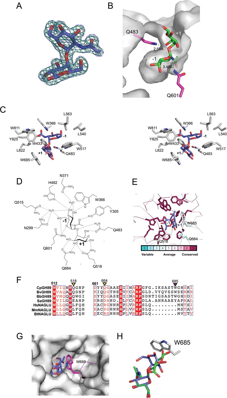 Fig. 2.