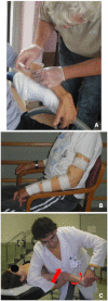 Fig 1
